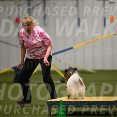 Mazie-Melinda-Sanford-05903
