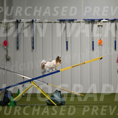 Mazie-Melinda-Sanford-05906