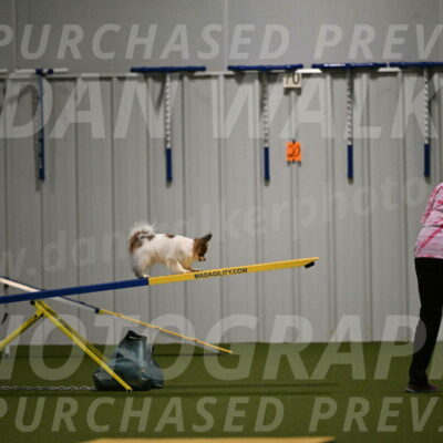 Mazie-Melinda-Sanford-05911