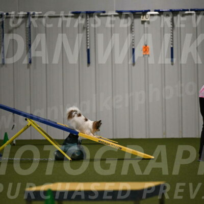 Mazie-Melinda-Sanford-05914