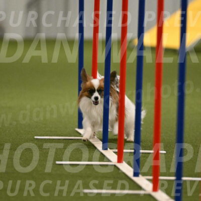 Mazie-Melinda-Sanford-05916