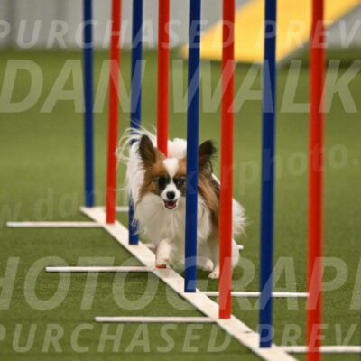 Mazie-Melinda-Sanford-05920
