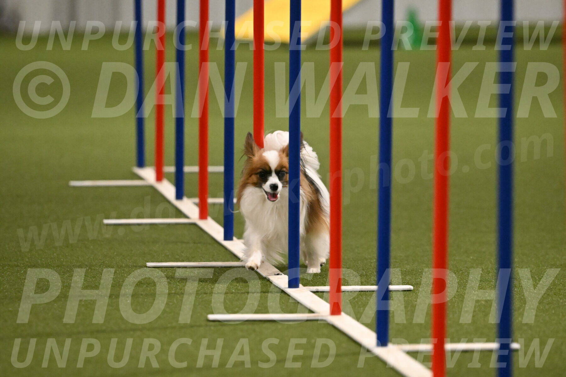 Mazie-Melinda-Sanford-05923