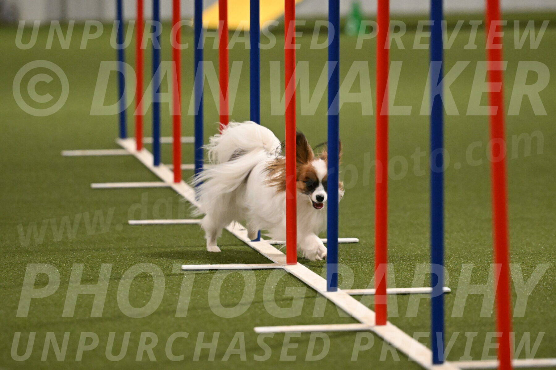Mazie-Melinda-Sanford-05927