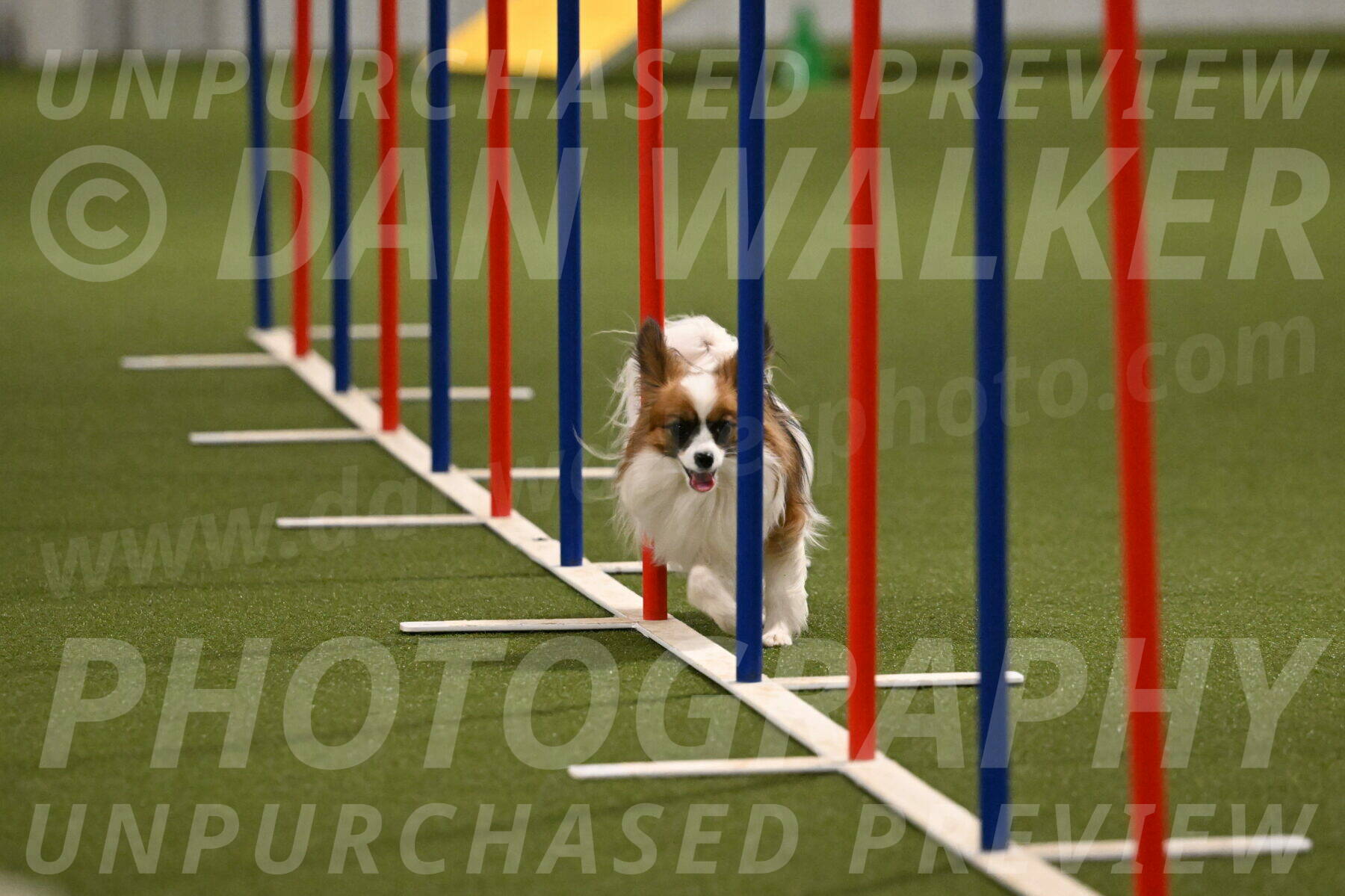 Mazie-Melinda-Sanford-05930