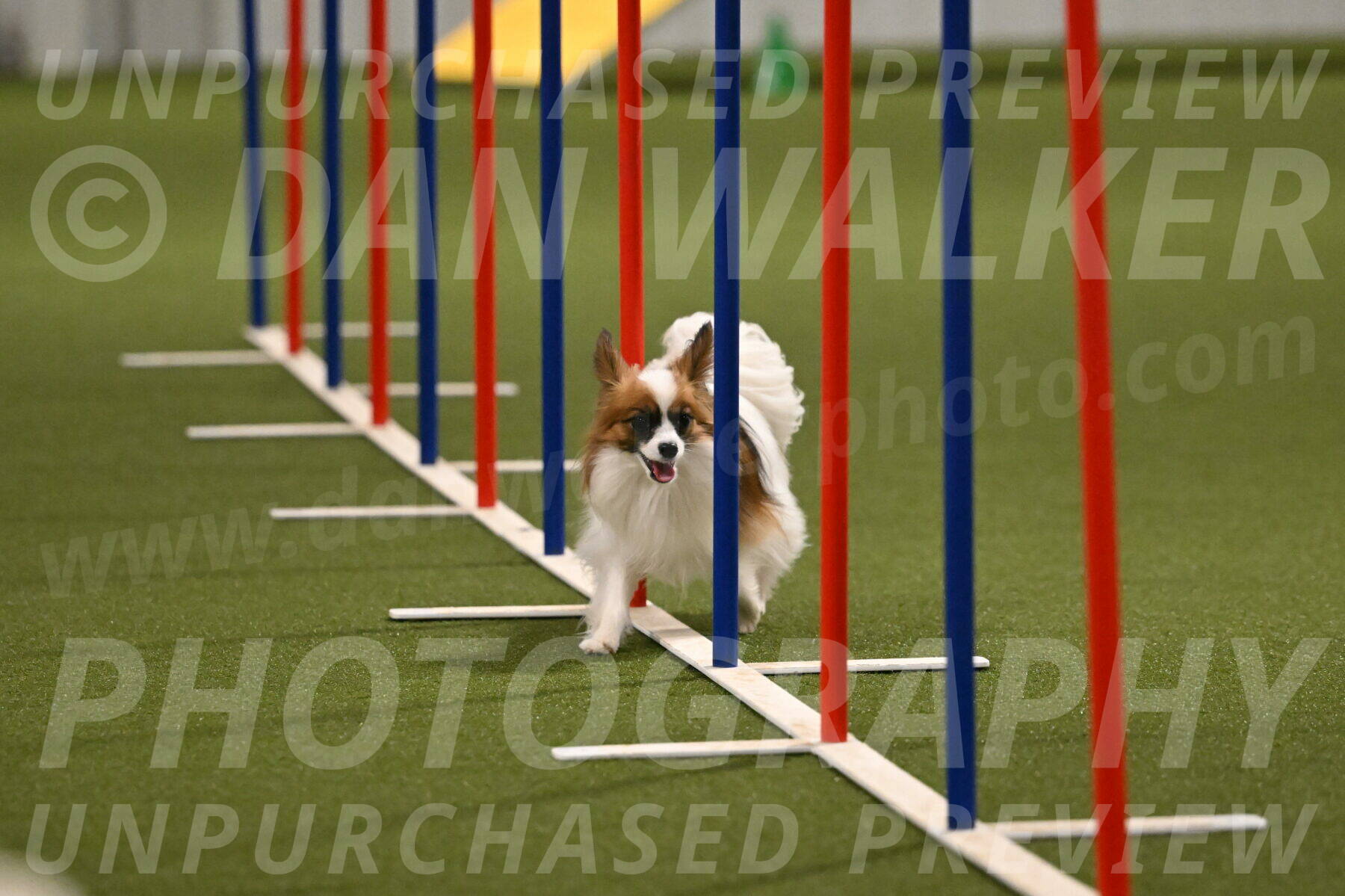 Mazie-Melinda-Sanford-05931