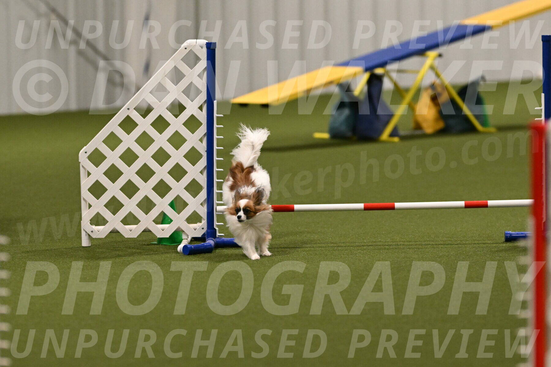 Mazie-Melinda-Sanford-05936