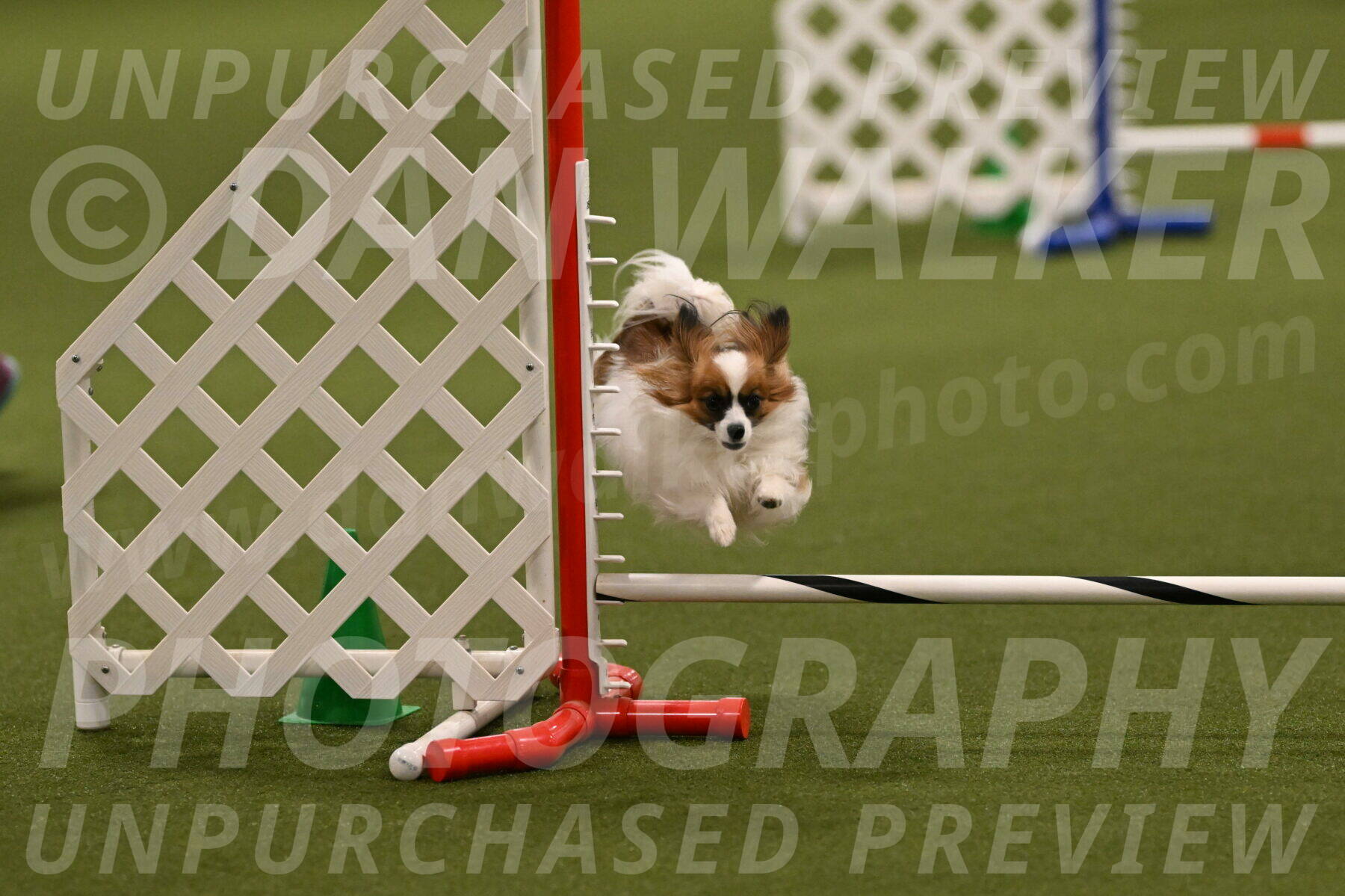 Mazie-Melinda-Sanford-05937