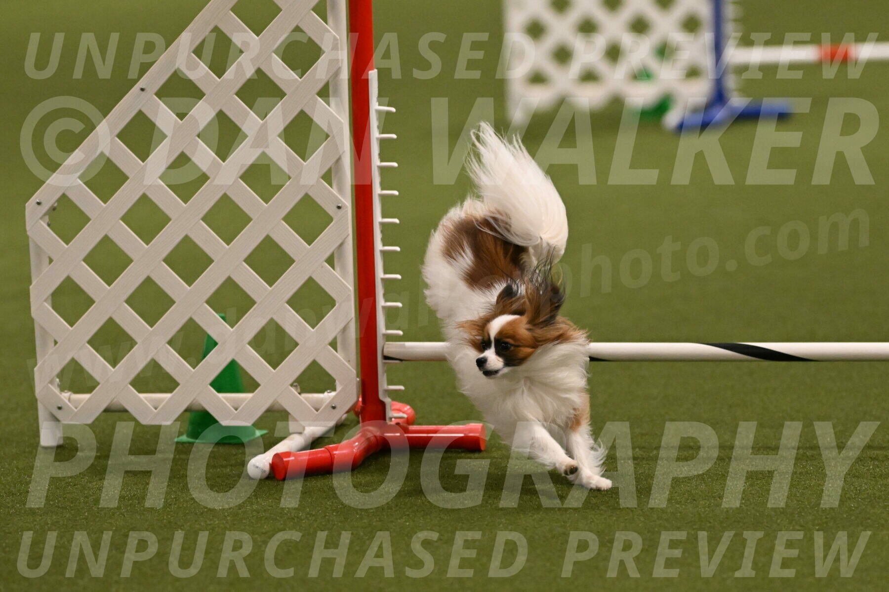 Mazie-Melinda-Sanford-05938