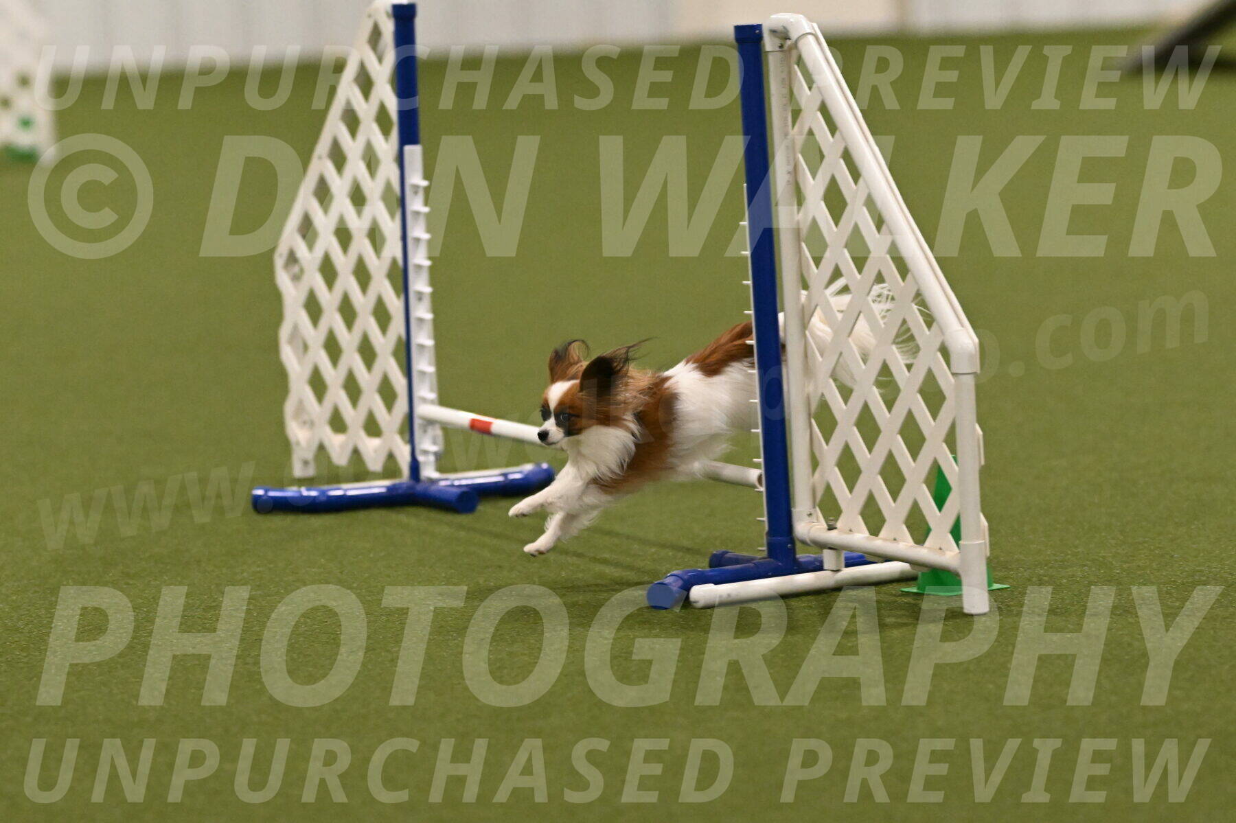 Mazie-Melinda-Sanford-05942