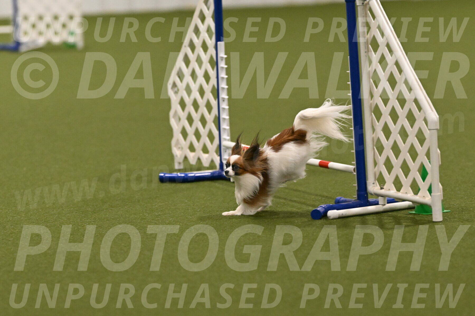 Mazie-Melinda-Sanford-05943