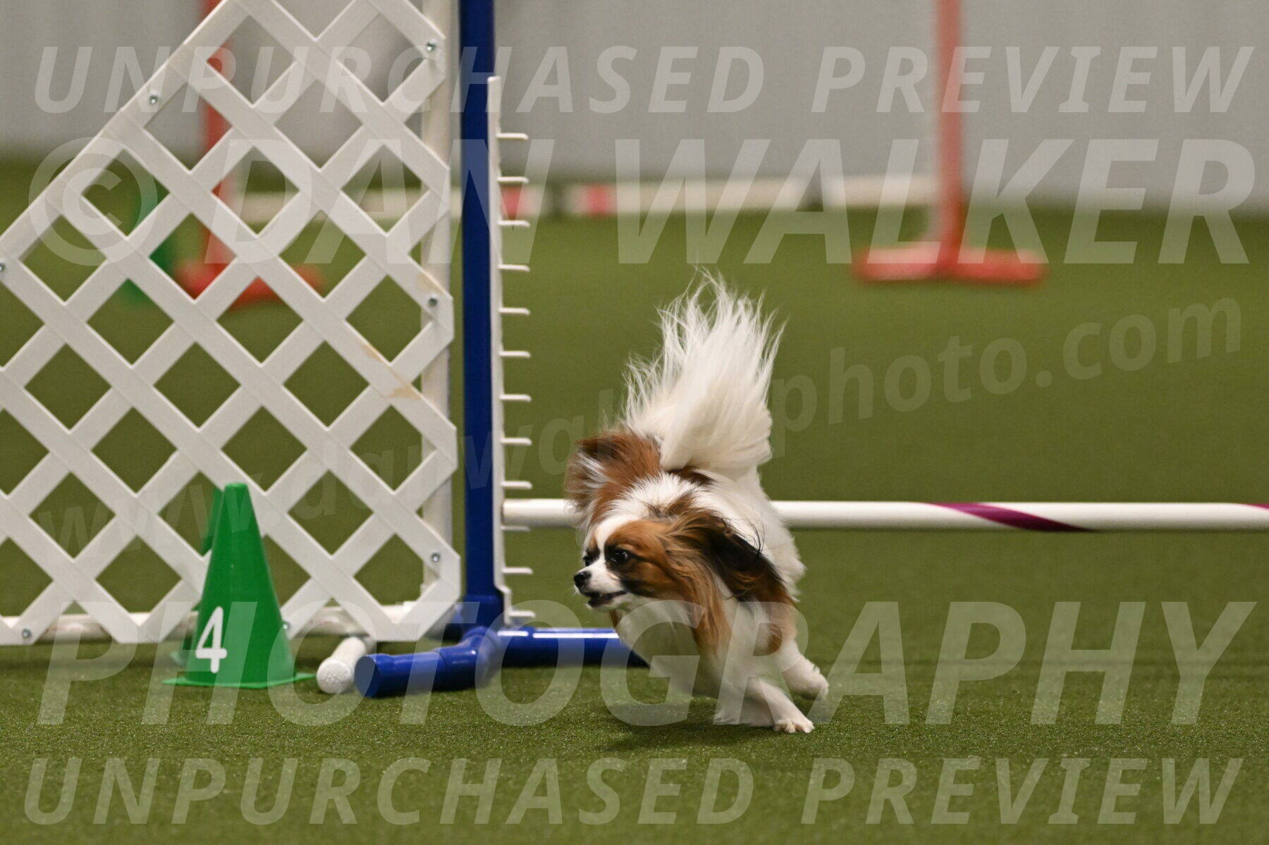 Mazie-Melinda-Sanford-05946