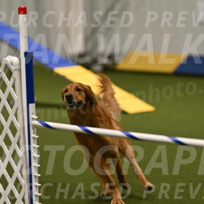 Mister-Rogers-Megan-Sapsford-05385