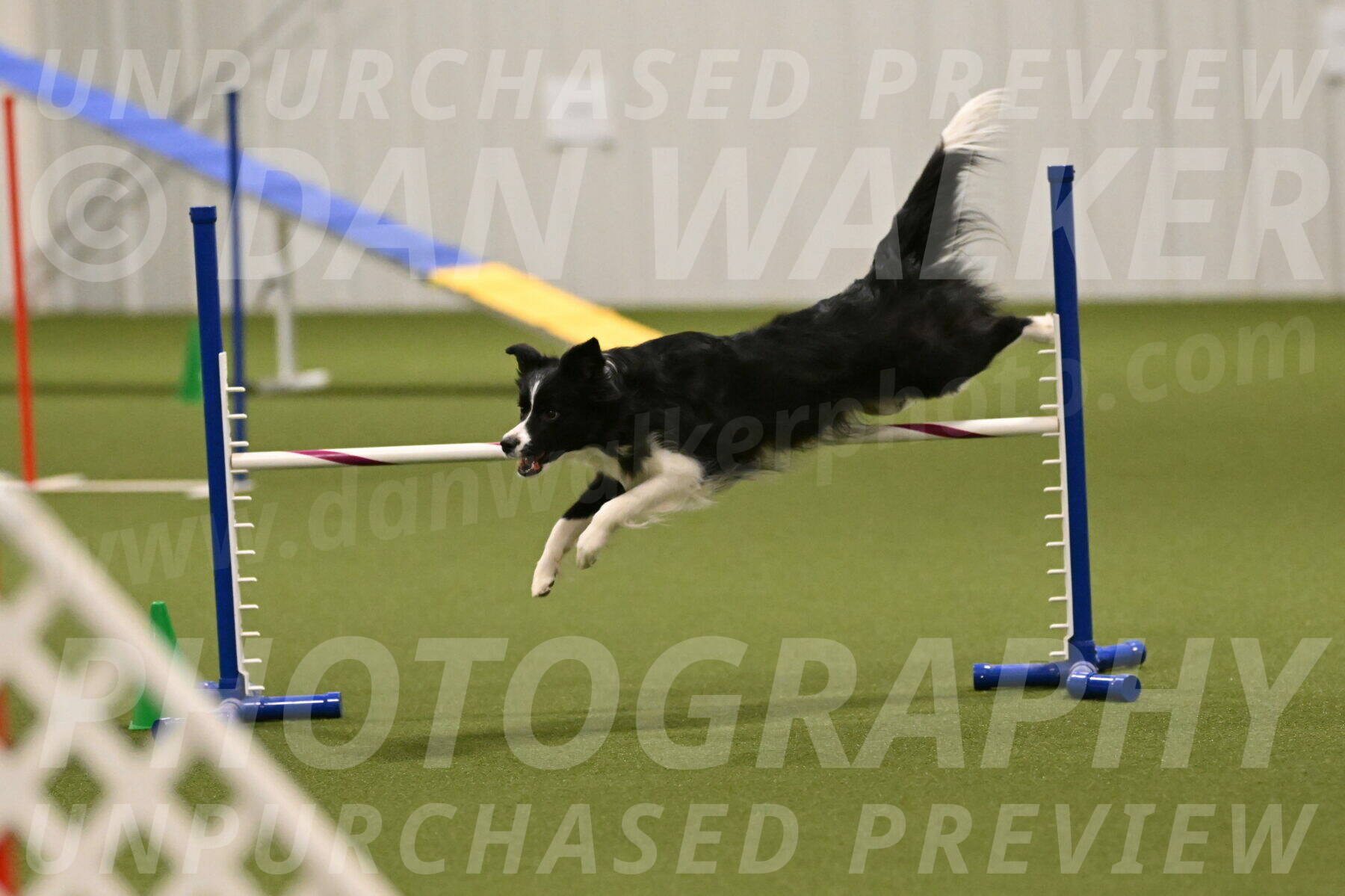 Mitsuha-Erin-McCune-03683