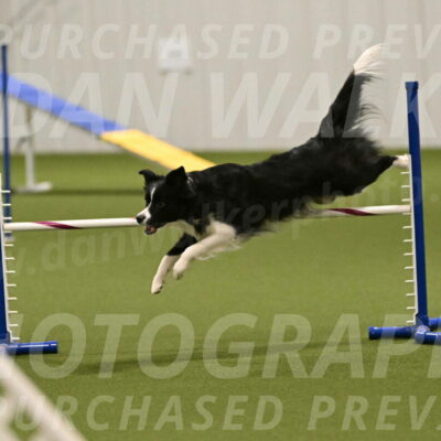 Mitsuha-Erin-McCune-03683