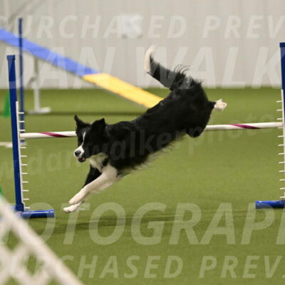 Mitsuha-Erin-McCune-03684