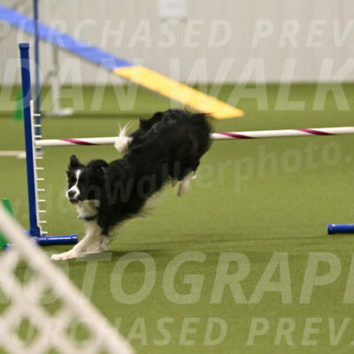 Mitsuha-Erin-McCune-03685