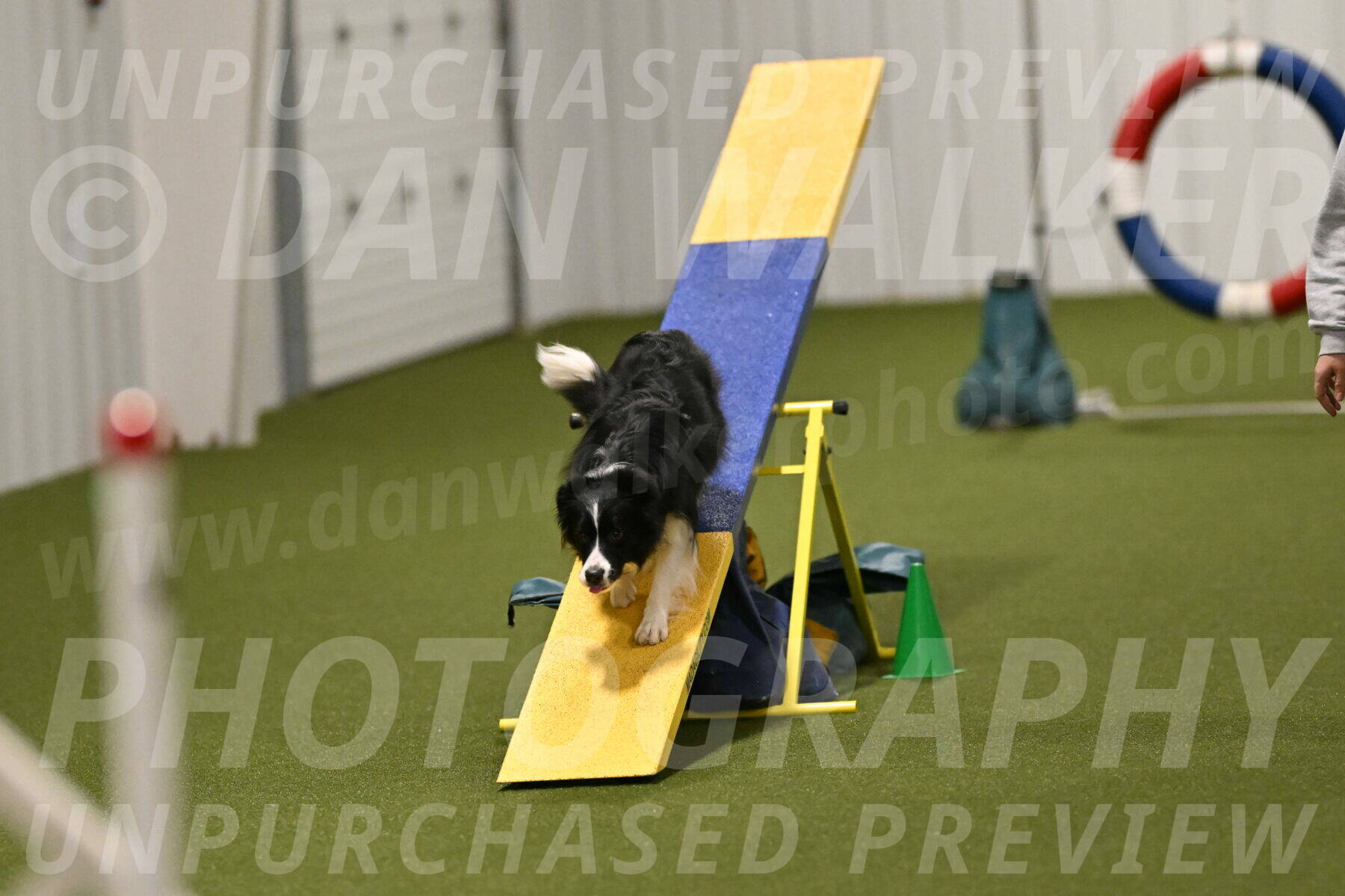 Mitsuha-Erin-McCune-03694