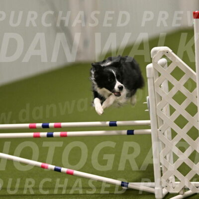 Mitsuha-Erin-McCune-03697