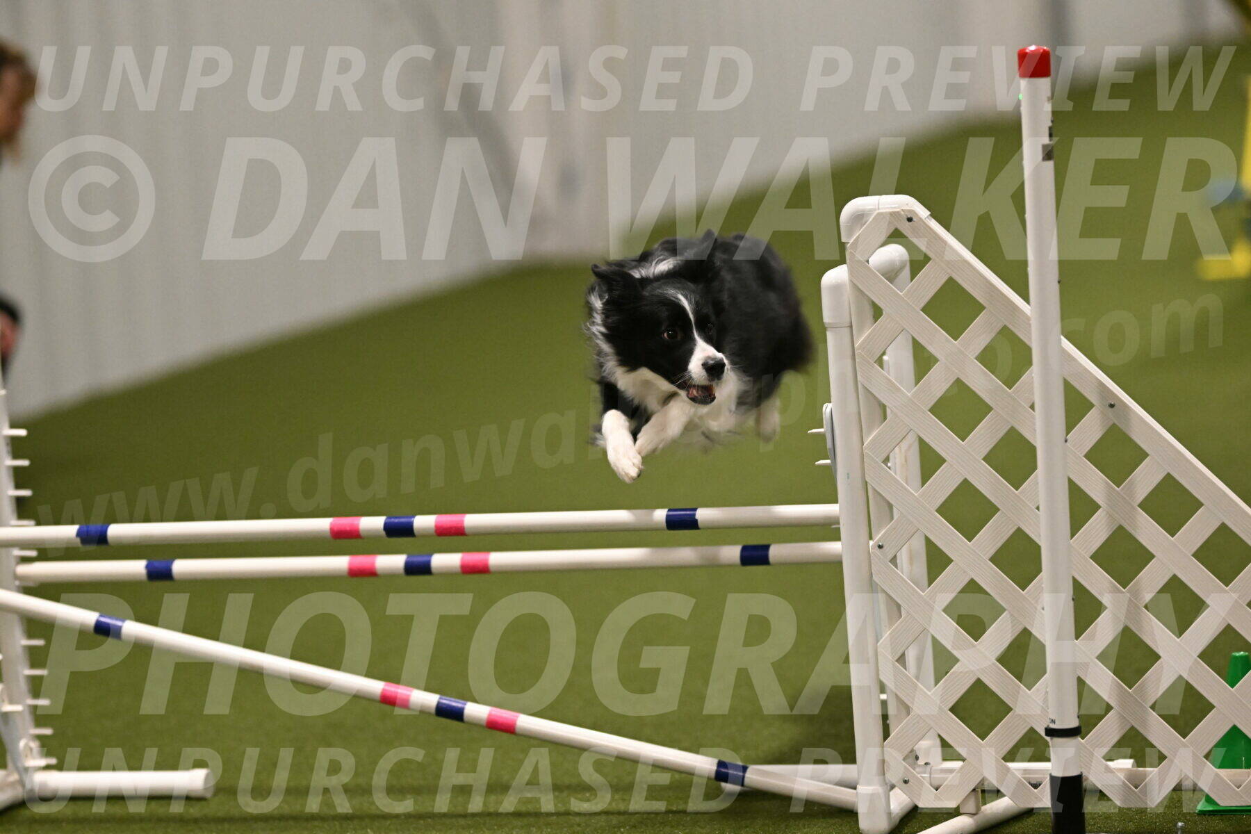 Mitsuha-Erin-McCune-03697