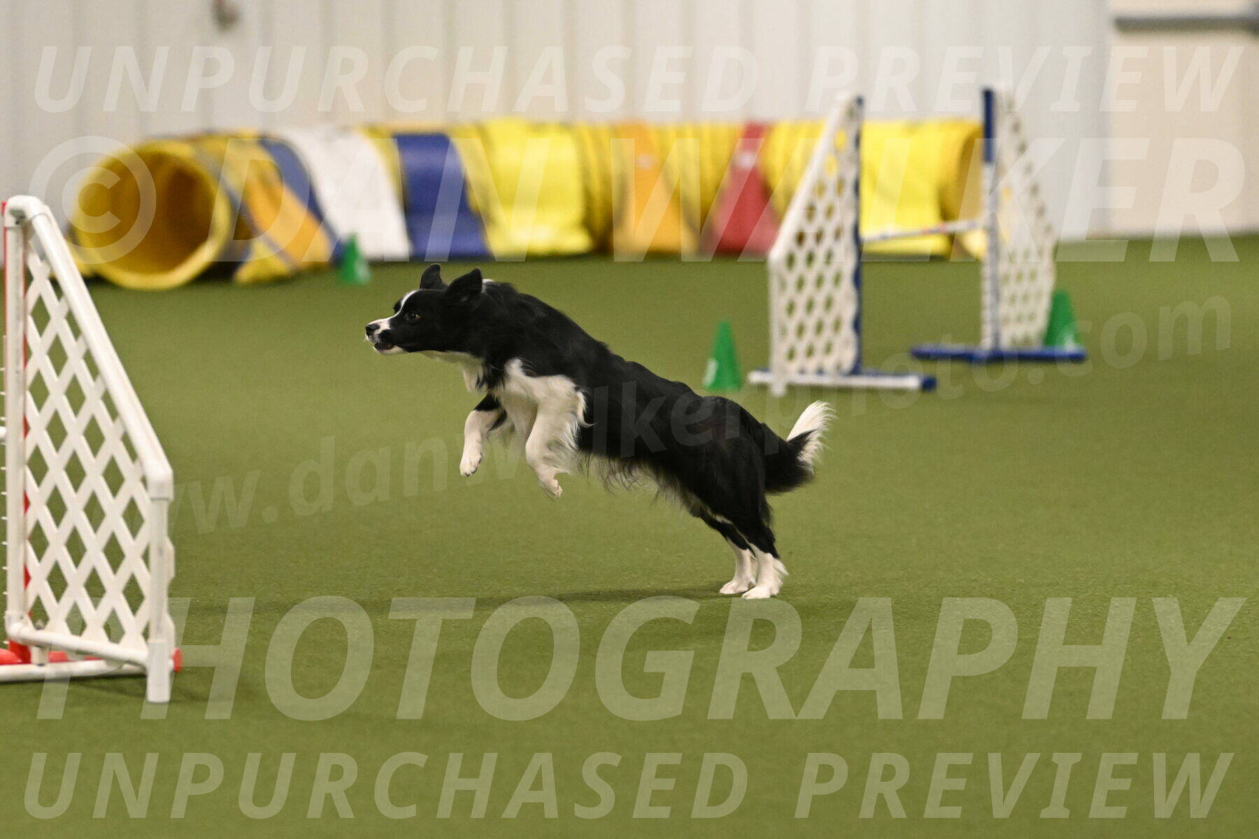 Mitsuha-Erin-McCune-03706