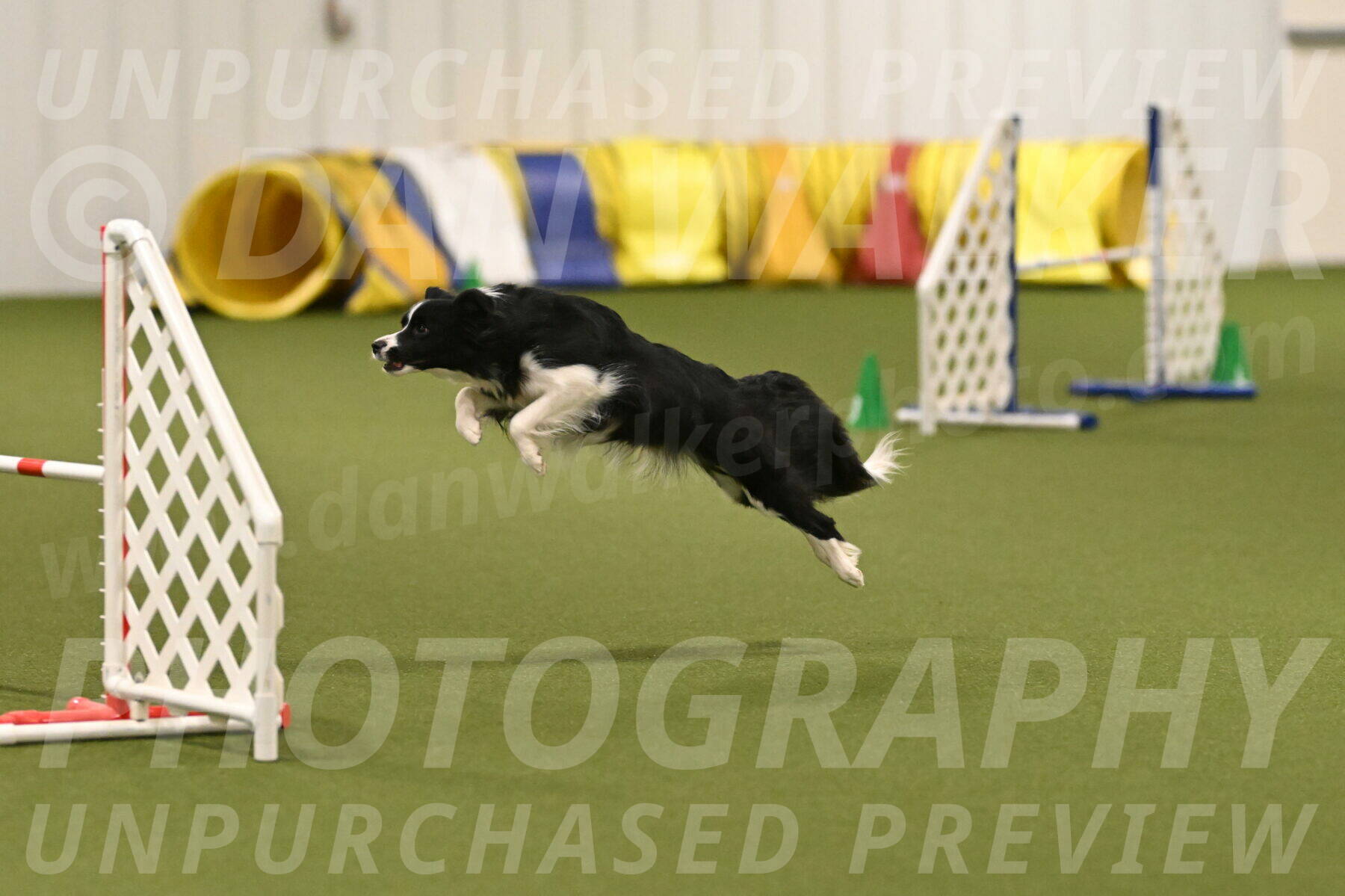Mitsuha-Erin-McCune-03707