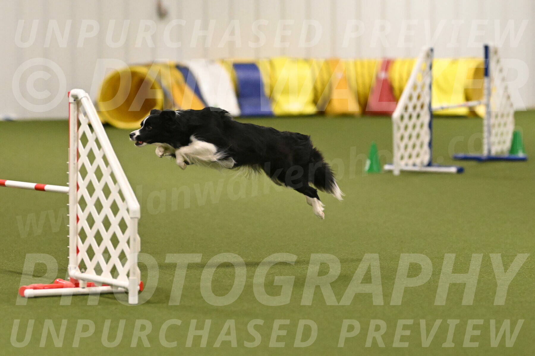 Mitsuha-Erin-McCune-03708