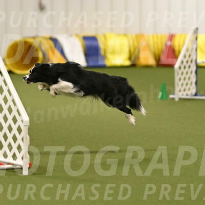 Mitsuha-Erin-McCune-03708