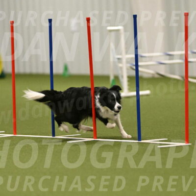 Mitsuha-Erin-McCune-03719