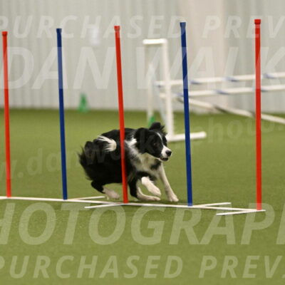 Mitsuha-Erin-McCune-03720
