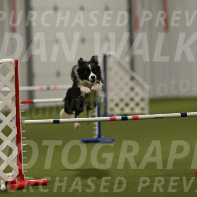 Mitsuha-Erin-McCune-03722