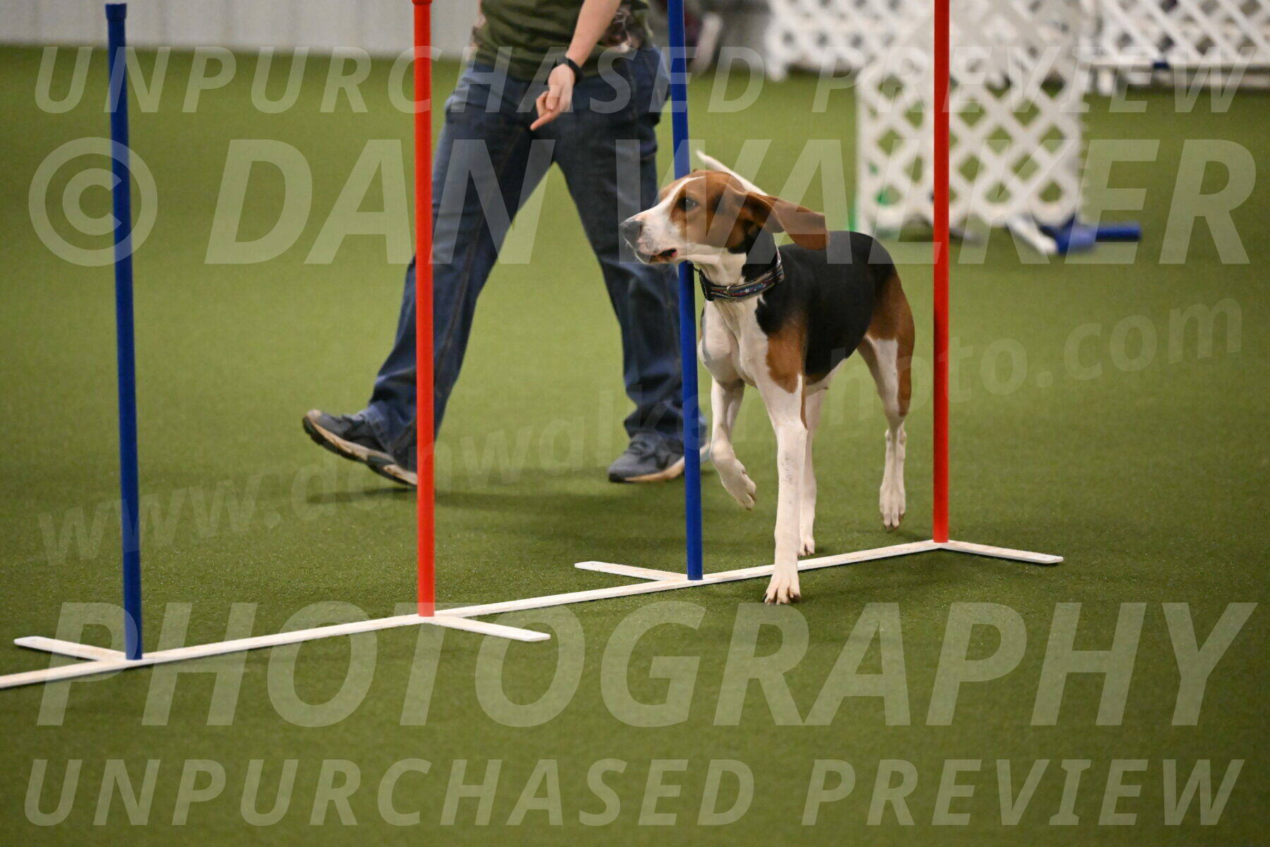 Mo-Laura-Bell-02797