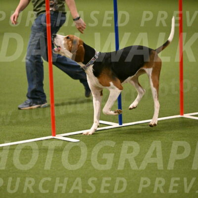 Mo-Laura-Bell-02808