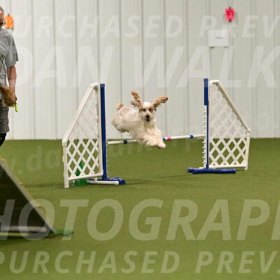 Molly-Cheryl-Christy-07563