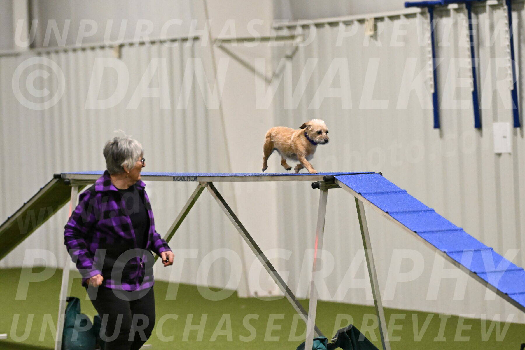 Molly-Cheryl-Christy-07564