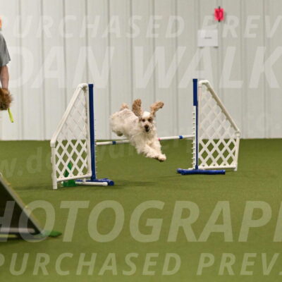 Molly-Cheryl-Christy-07565