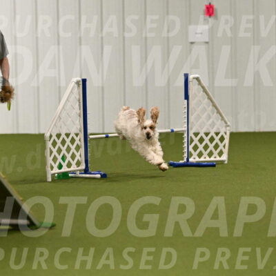 Molly-Cheryl-Christy-07566