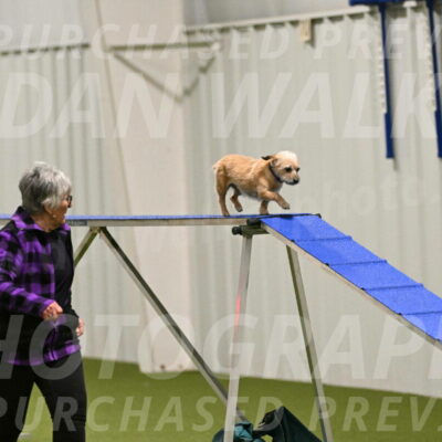 Molly-Cheryl-Christy-07567