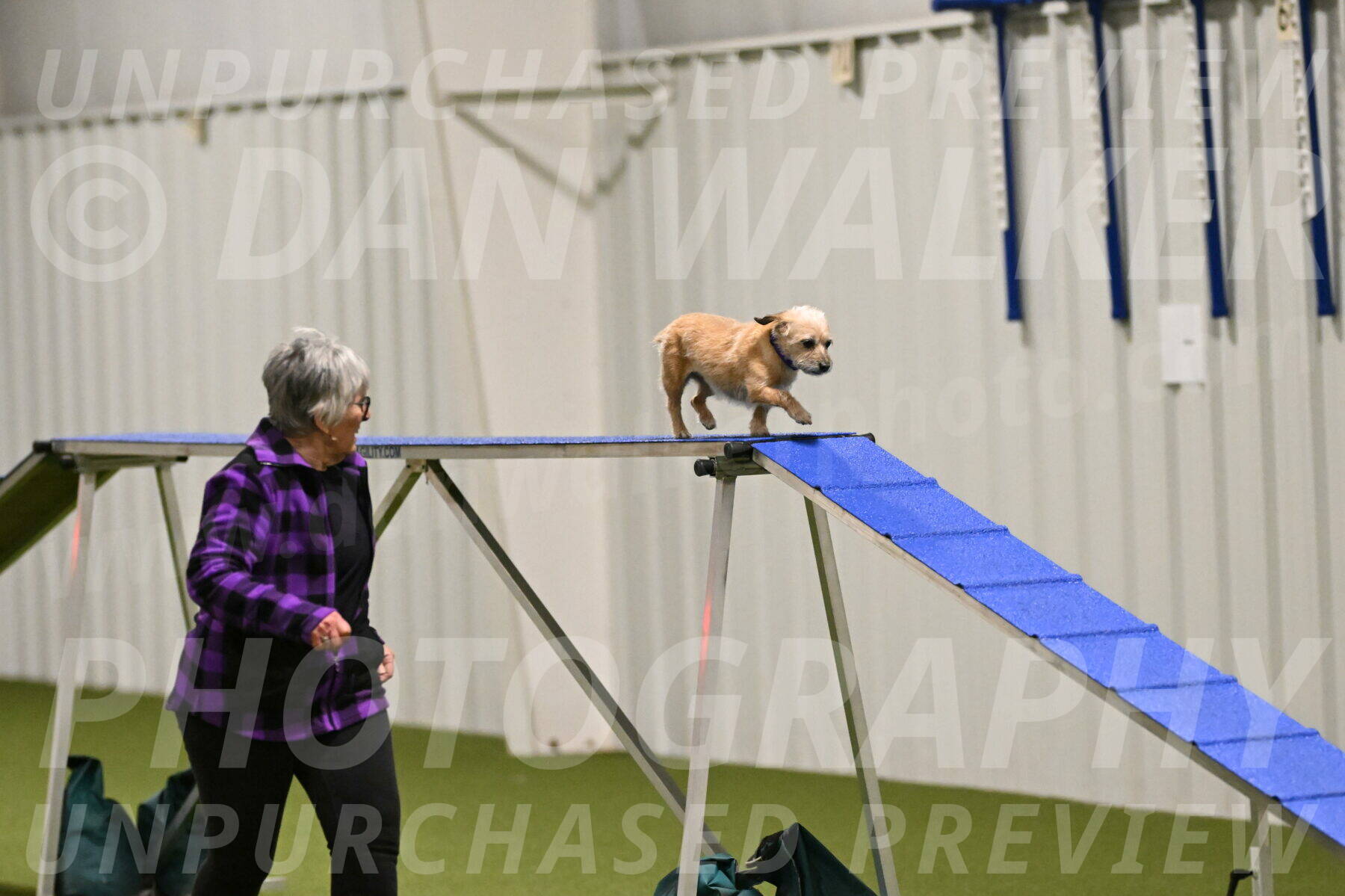 Molly-Cheryl-Christy-07567