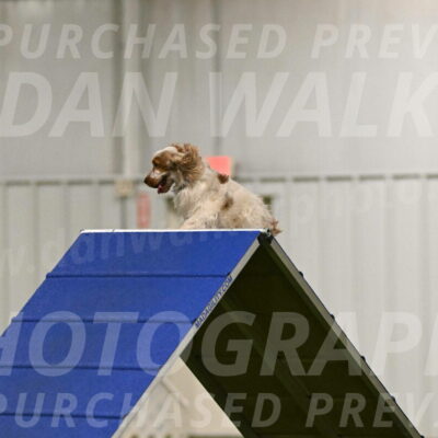 Molly-Cheryl-Christy-07570