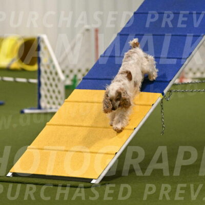 Molly-Cheryl-Christy-07572