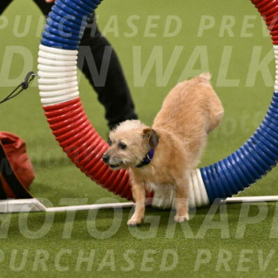 Molly-Cheryl-Christy-07573