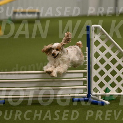 Molly-Cheryl-Christy-07574