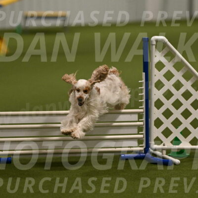 Molly-Cheryl-Christy-07575