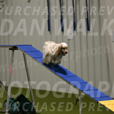 Molly-Cheryl-Christy-07576