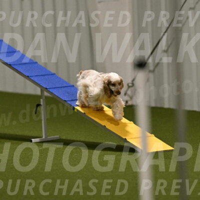 Molly-Cheryl-Christy-07577