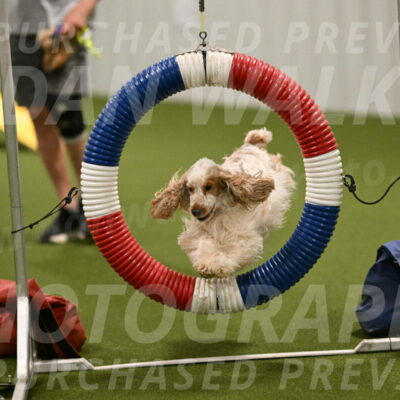 Molly-Cheryl-Christy-07578