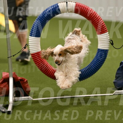 Molly-Cheryl-Christy-07579