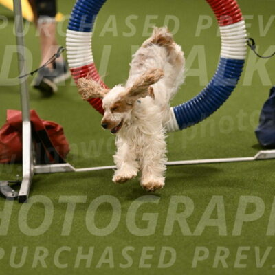 Molly-Cheryl-Christy-07580