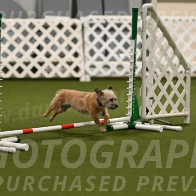 Molly-Cheryl-Christy-07581